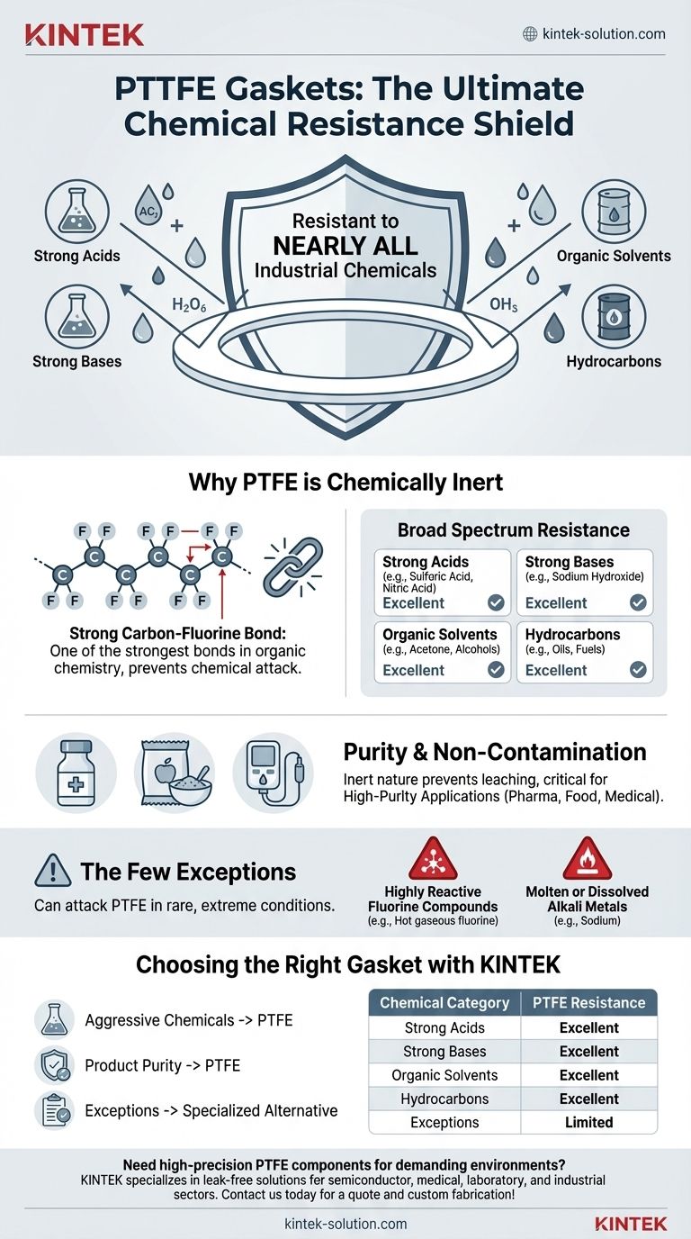 À quels types de milieux chimiques les joints en PTFE résistent-ils ? Obtenez une étanchéité sans fuite dans les environnements agressifs Guide Visuel