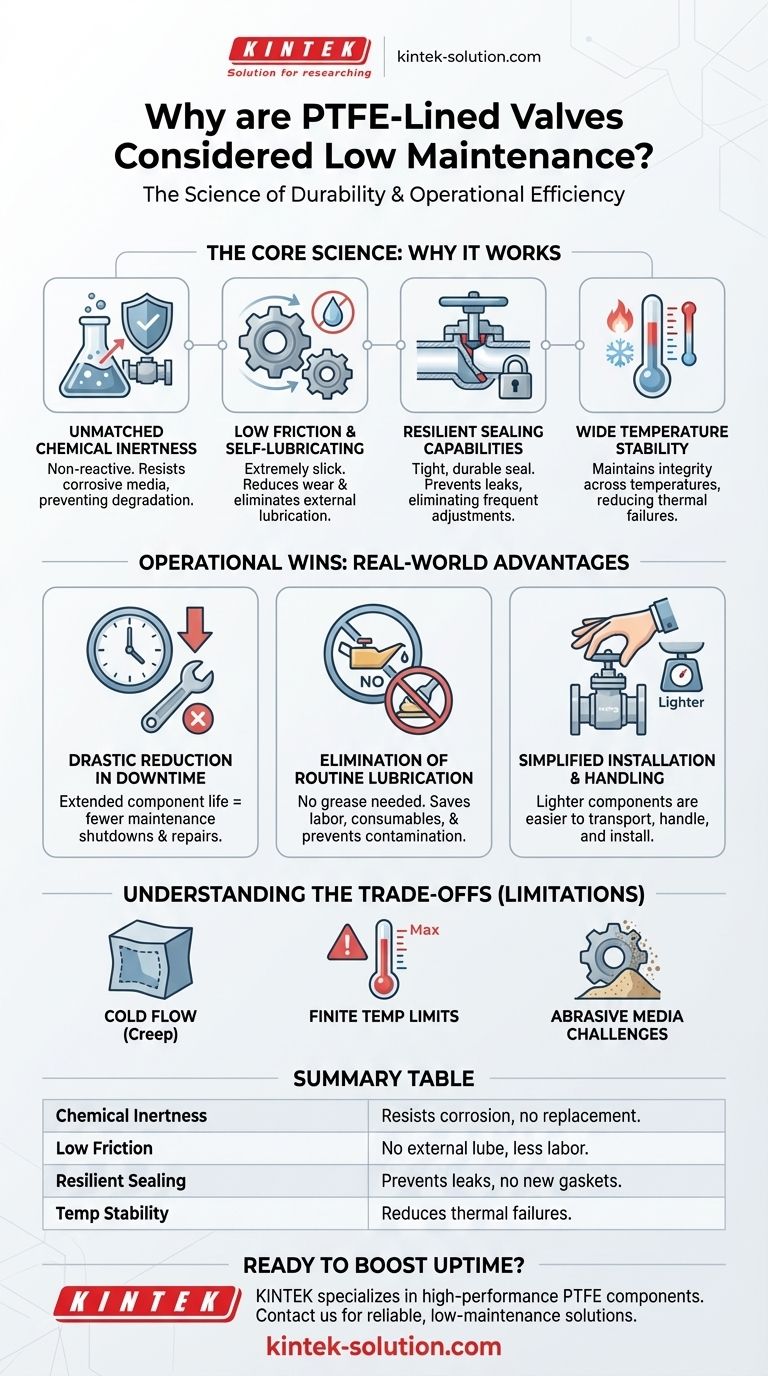 Por que as válvulas revestidas com PTFE são consideradas de baixa manutenção? Alcance o Tempo de Atividade Máximo e Custos Mais Baixos Guia Visual