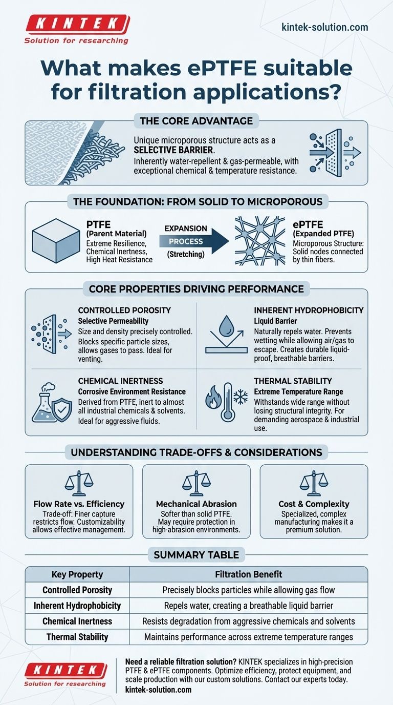 Cosa rende l'ePTFE adatto per le applicazioni di filtrazione? Sblocca prestazioni superiori per ambienti esigenti Guida Visiva