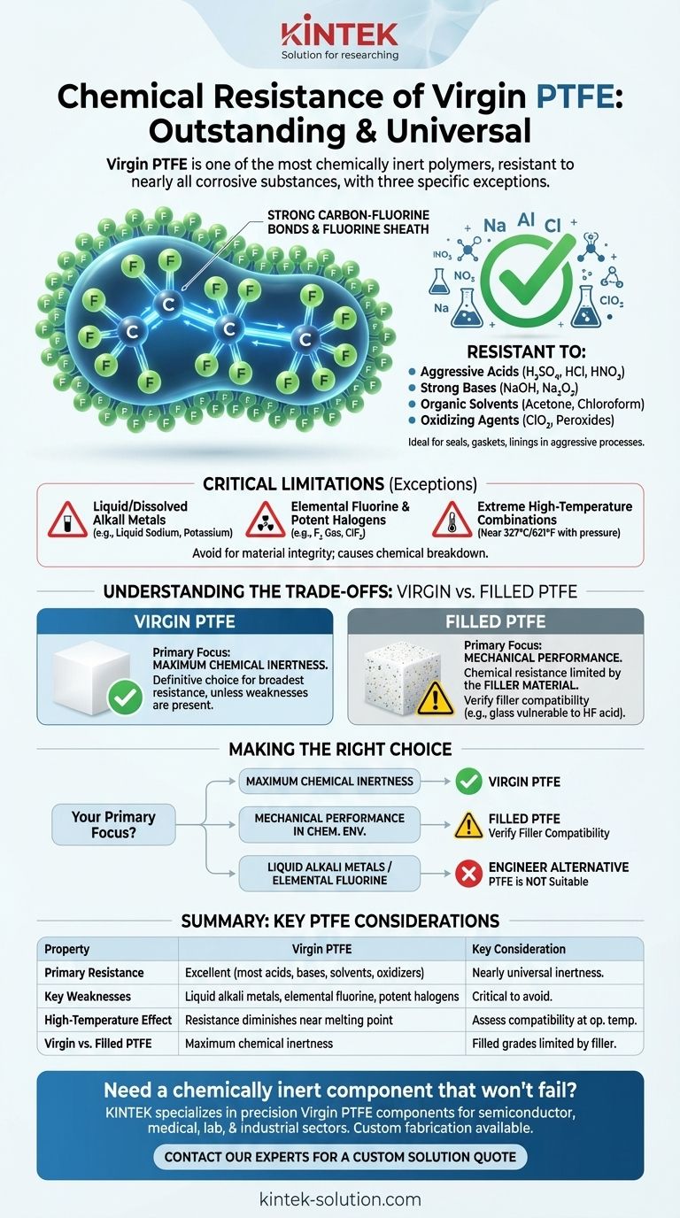 버진 PTFE의 내화학성은 어떻습니까? 가혹한 화학 환경에 대한 타의 추종을 불허하는 불활성 시각적 가이드