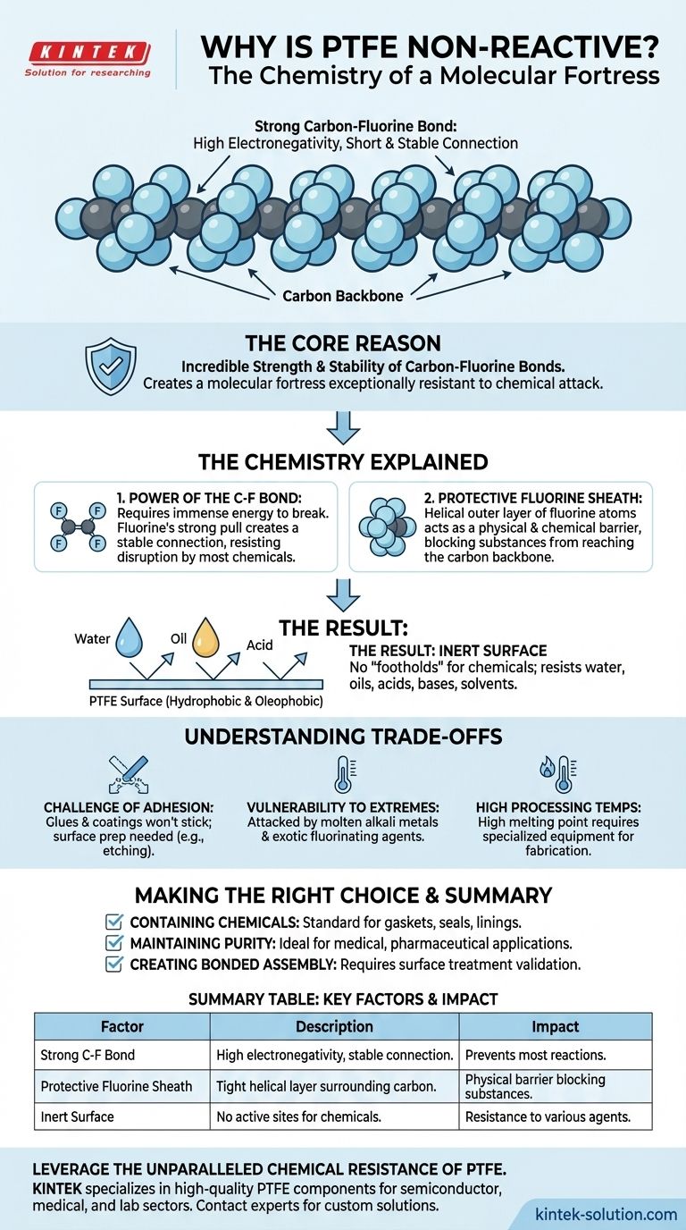 Why is PTFE considered non-reactive? The Power of an Unbreakable Molecular Bond Visual Guide