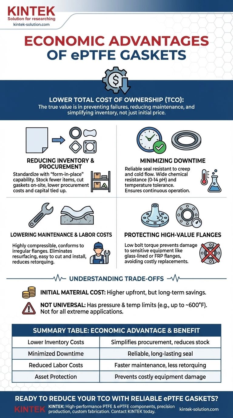 What economic advantages do ePTFE gaskets offer? Lower Total Cost of Ownership Visual Guide