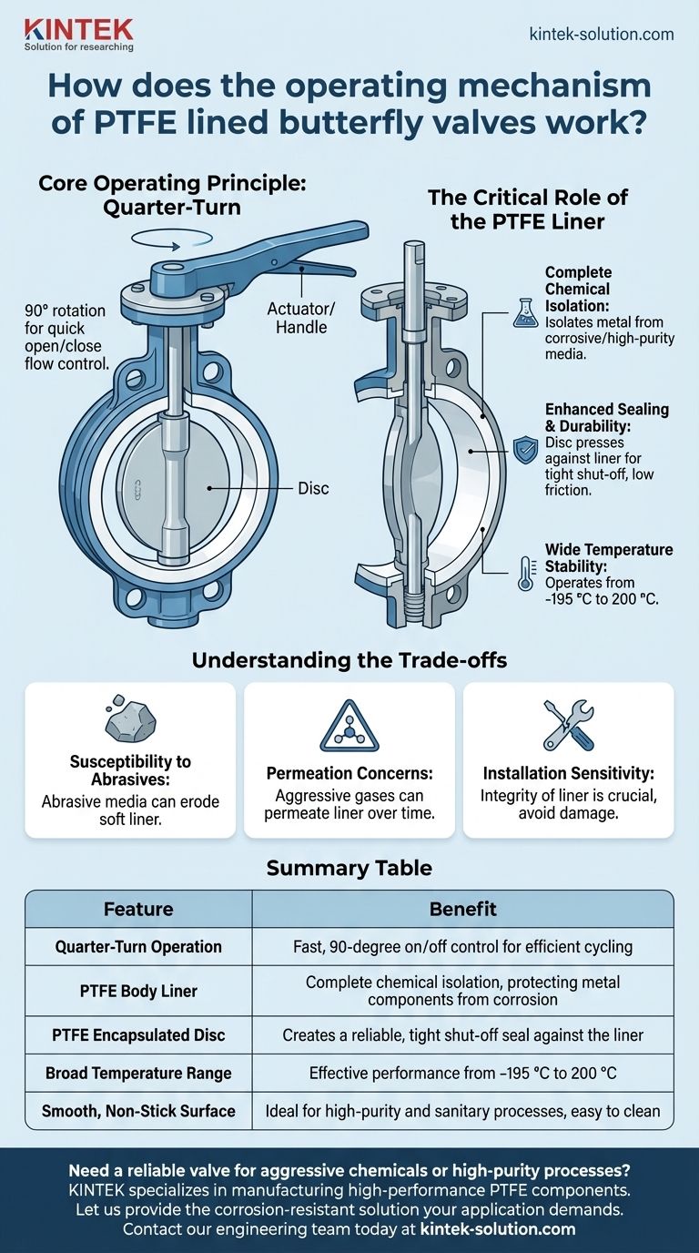 Como funciona o mecanismo operacional das válvulas borboleta revestidas com PTFE? Um Guia para Controle de Fluxo Resistente à Corrosão Guia Visual