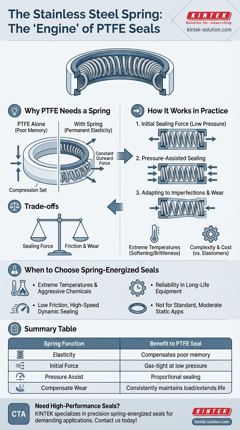 Qual é o papel da mola de aço inoxidável nas vedações de PTFE? O Motor para um Desempenho de Vedação Confiável Guia Visual