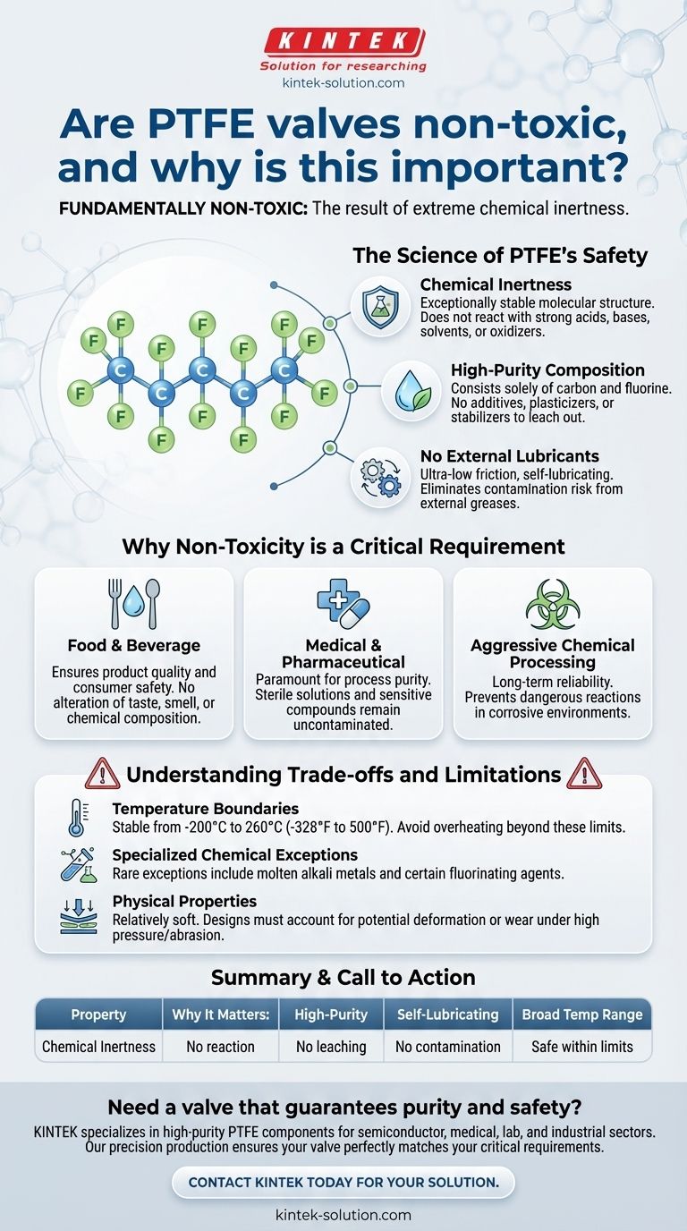 ¿Las válvulas de PTFE no son tóxicas y por qué es esto importante? Garantizar la pureza y seguridad del producto Guía Visual