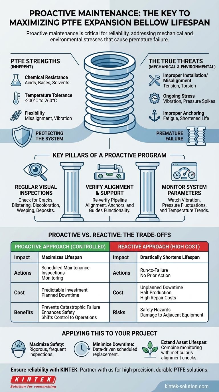 Qual o papel da manutenção proativa na vida útil dos foles de expansão de PTFE? Maximizando a Confiabilidade e o Tempo de Atividade Guia Visual
