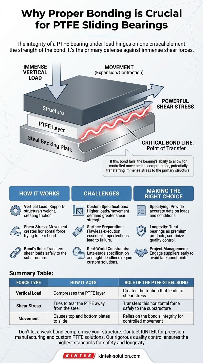 ¿Por qué es fundamental una unión adecuada para los cojinetes deslizantes de PTFE? Es la clave para gestionar inmensas fuerzas de cizallamiento Guía Visual