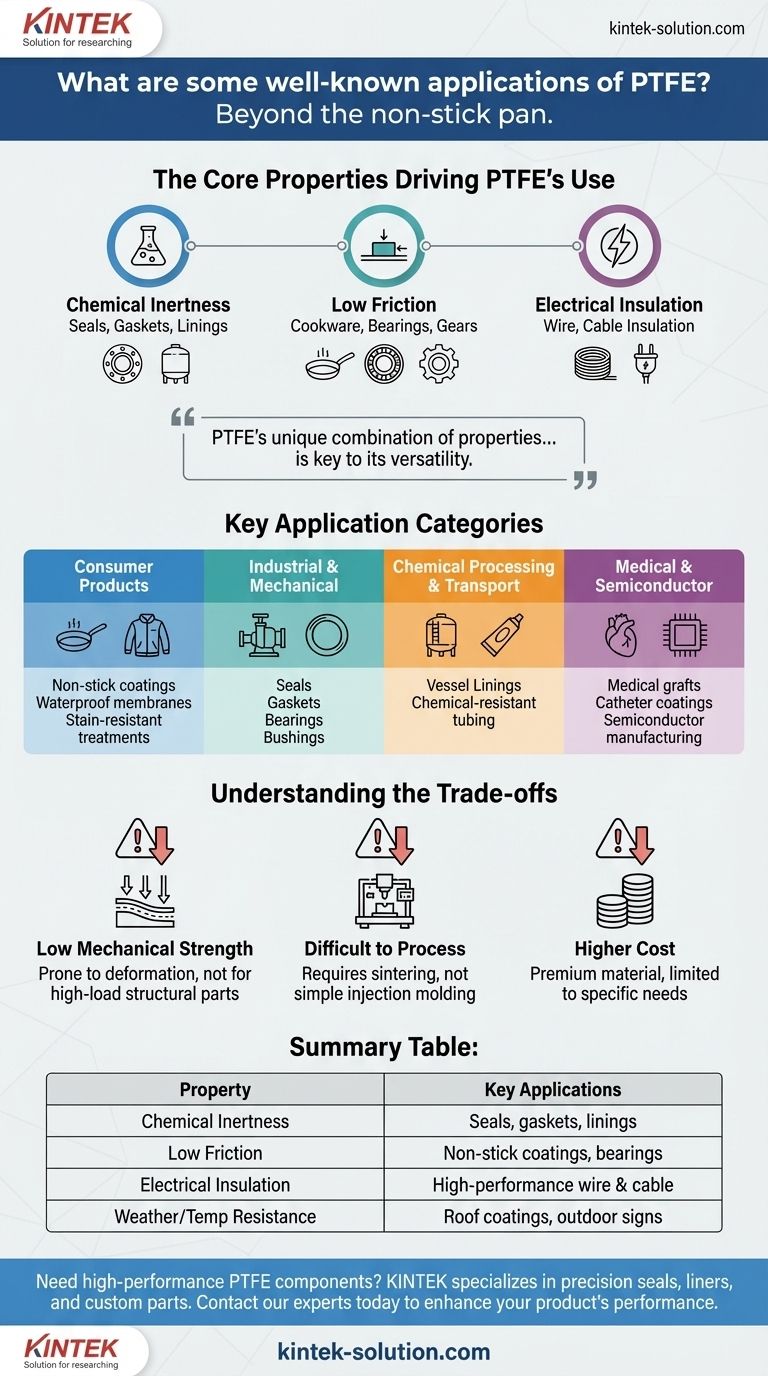 ما هي بعض التطبيقات المعروفة لـ PTFE؟ أطلق العنان لتعدد استخداماته في مجال عملك دليل مرئي