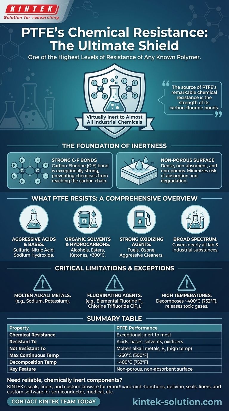Qual é a resistência do PTFE aos produtos químicos? Descubra o Polímero Definitivo Resistente a Produtos Químicos Guia Visual
