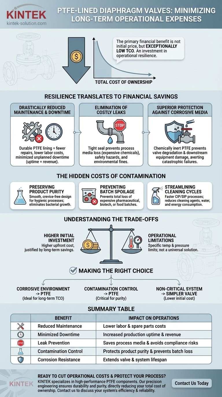 Como as válvulas diafragma revestidas com PTFE contribuem para a economia de custos? Reduza Custos Operacionais e Tempo de Inatividade Guia Visual