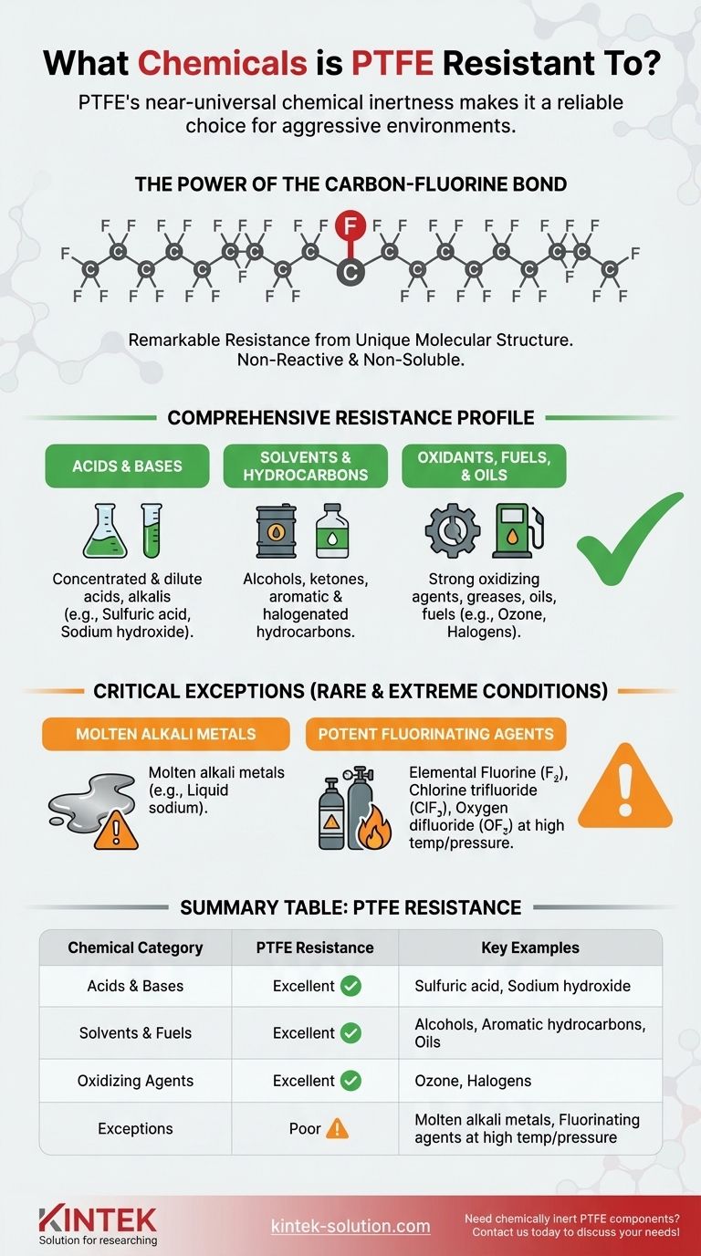 A quali sostanze chimiche è resistente il PTFE? Scopri la sua quasi universale inerzia chimica Guida Visiva