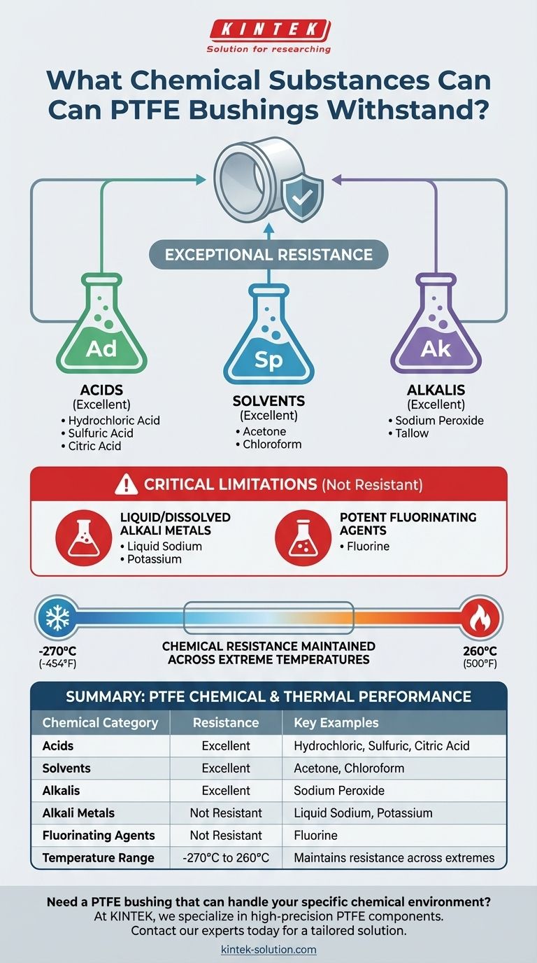 ما هي أنواع المواد الكيميائية التي يمكن أن تتحملها البطانات المصنوعة من PTFE؟ ضمان الموثوقية في البيئات العدوانية دليل مرئي