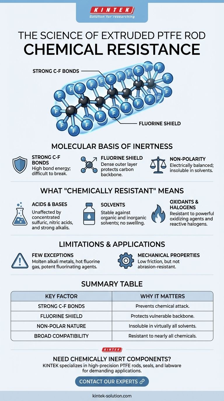 ما الذي يجعل قضبان PTFE المبثوقة مقاومة كيميائيًا؟ استقرار لا مثيل له من تركيبها الجزيئي دليل مرئي