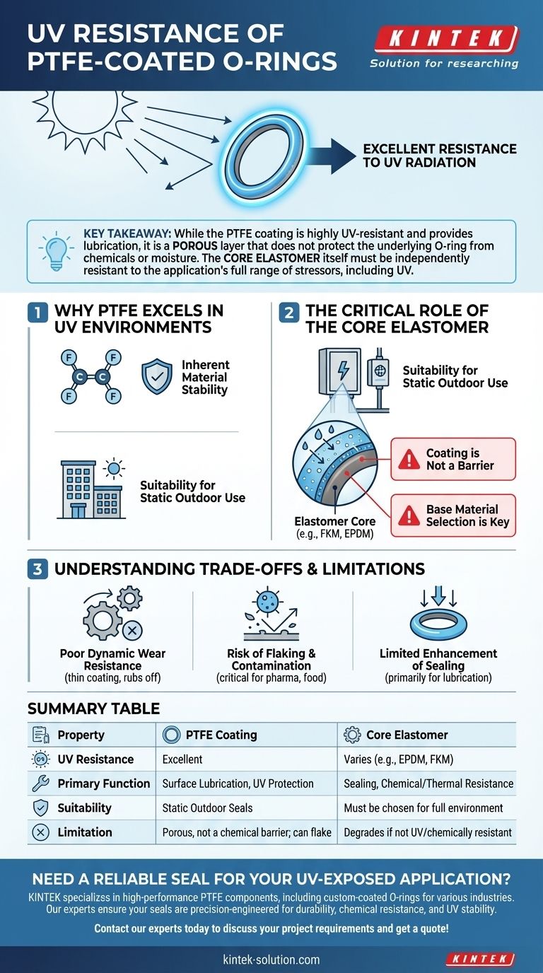 聚四氟乙烯（PTFE）涂层O型圈的抗紫外线性能如何？实现卓越的户外密封性能 图解指南