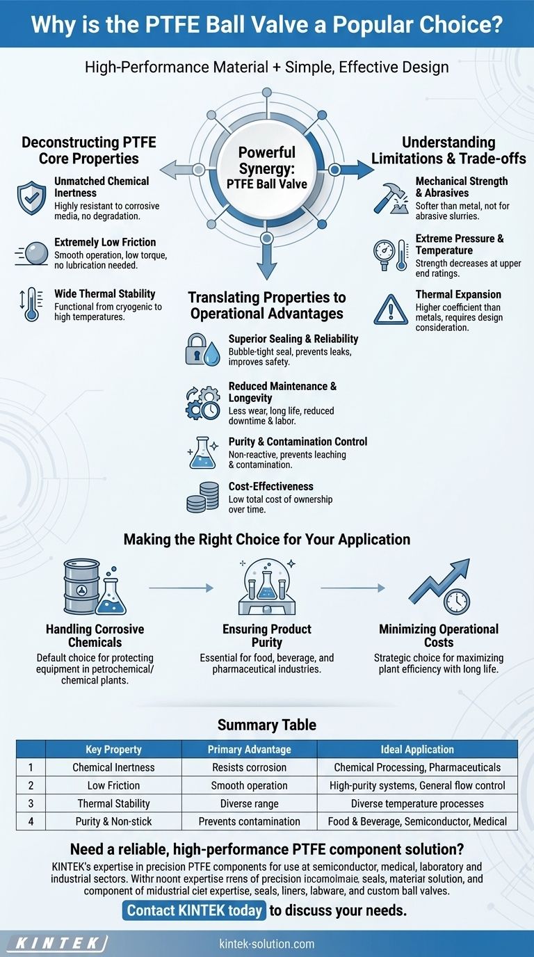 PTFEボールバルブが様々な産業で人気のある選択肢とされているのはなぜですか？過酷な環境下での比類なき信頼性 ビジュアルガイド