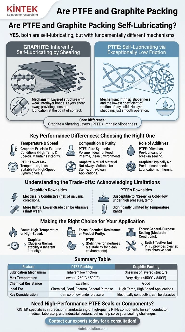 Les garnitures en PTFE et en graphite sont-elles autolubrifiantes ? Choisissez le bon joint pour votre application Guide Visuel