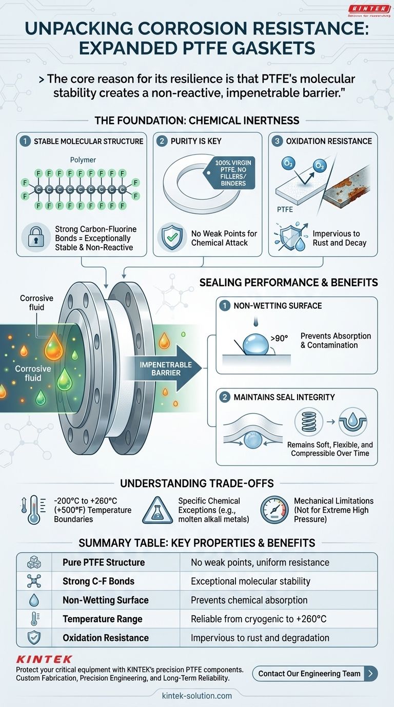 O que torna as gaxetas de PTFE expandido resistentes à corrosão? Inerteza Química Inigualável para Ambientes Agressivos Guia Visual