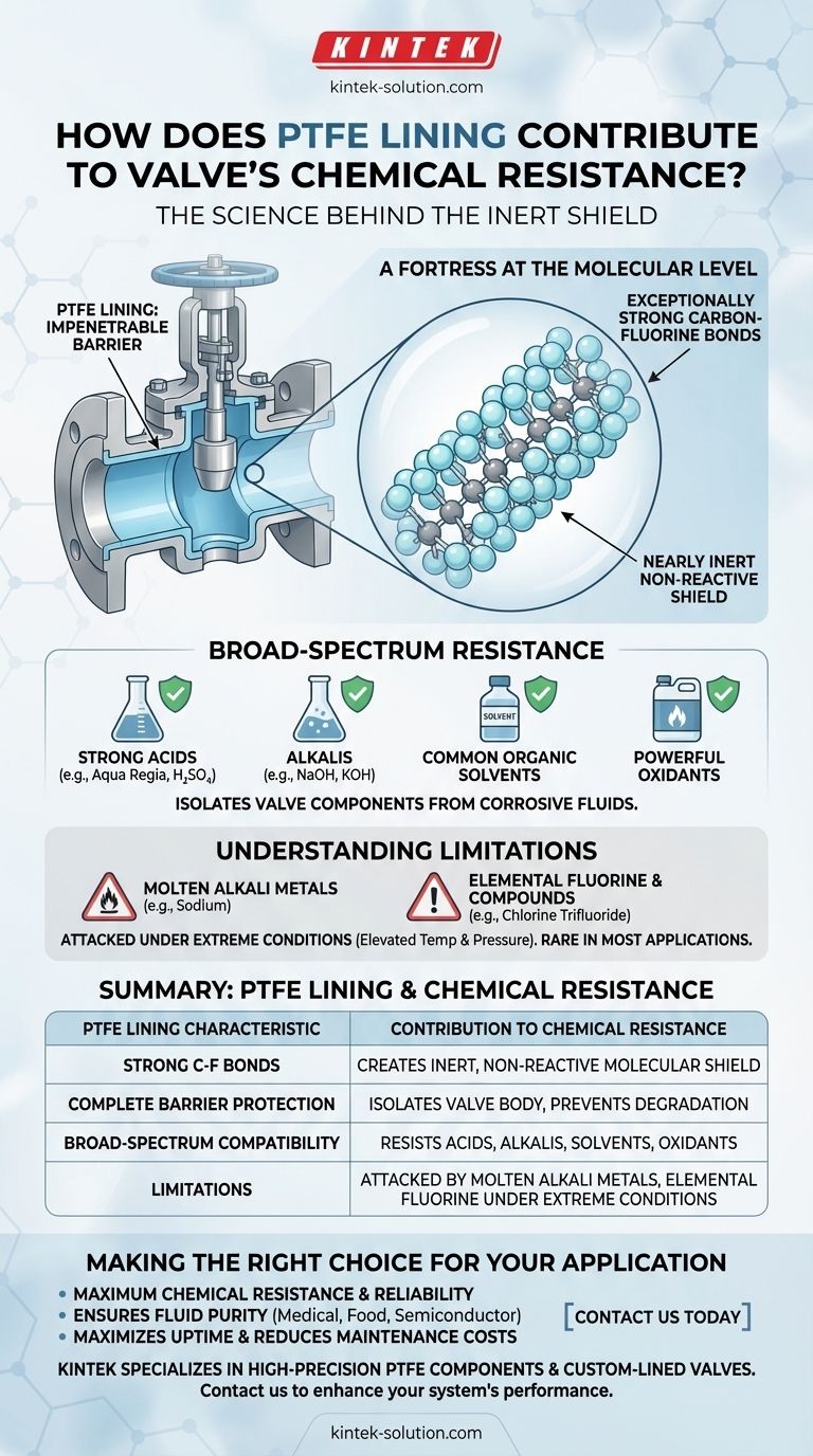كيف تساهم البطانة المصنوعة من PTFE في مقاومة الصمام للمواد الكيميائية؟ حقق موثوقية لا مثيل لها في البيئات القاسية دليل مرئي