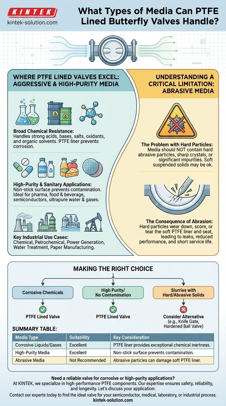 Quali tipi di fluidi possono gestire le valvole a farfalla rivestite in PTFE nelle applicazioni industriali? Garantire la resistenza chimica e la purezza Guida Visiva