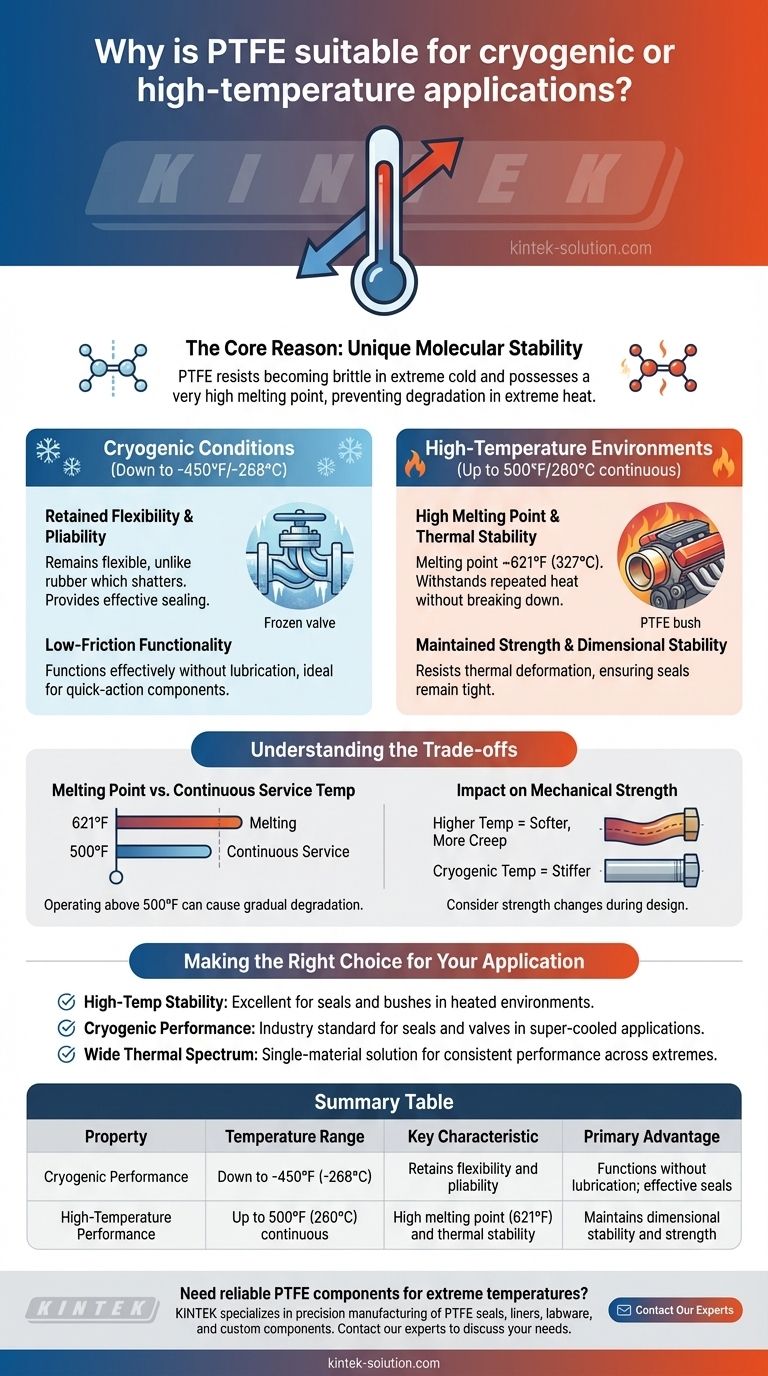Pourquoi le PTFE convient-il aux applications cryogéniques ou à haute température ? Stabilité thermique inégalée de -450°F à 500°F Guide Visuel