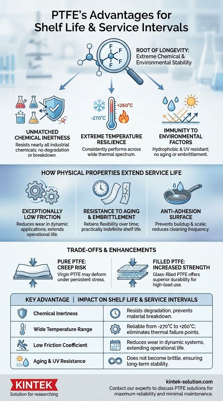 Quais são as vantagens do PTFE em termos de vida útil (shelf life) e intervalos de serviço? Maximizando a Confiabilidade e Minimizando o Tempo de Inatividade Guia Visual