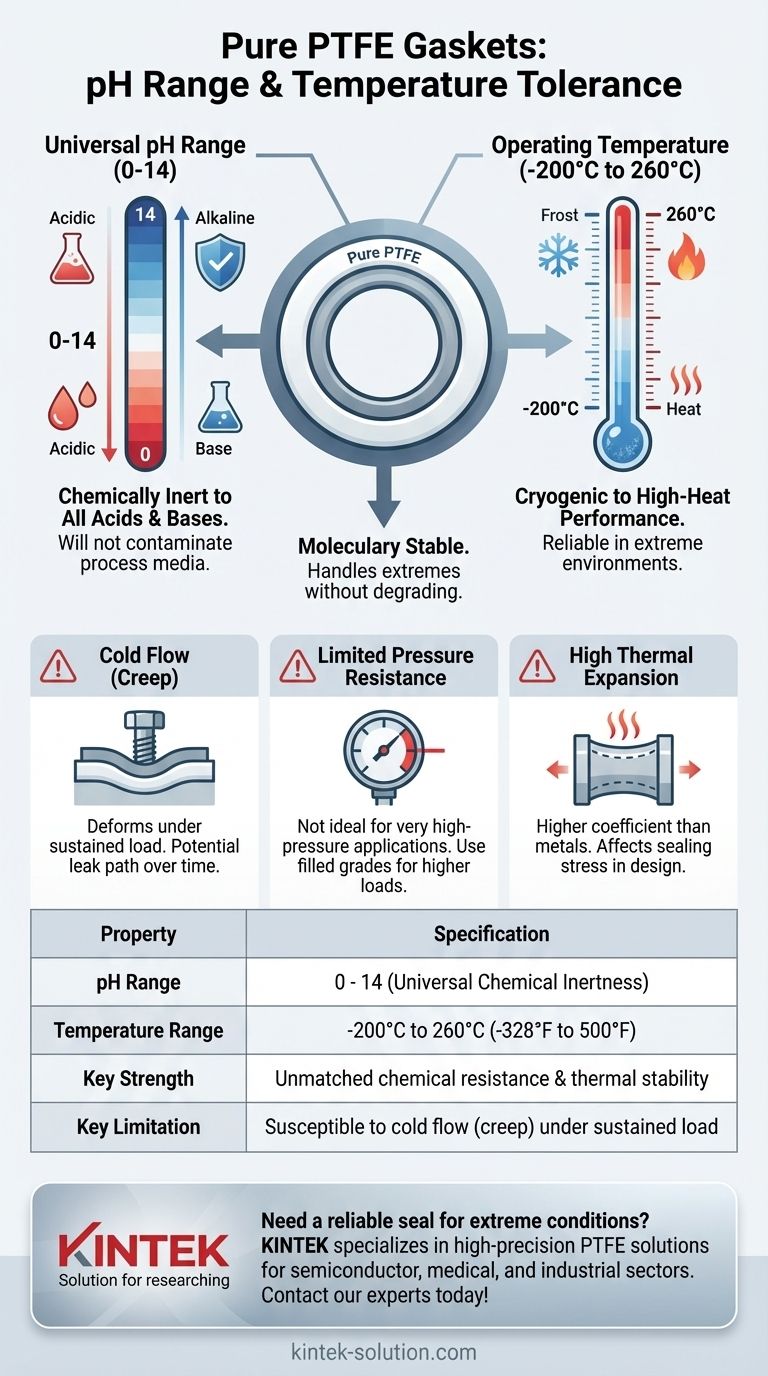 Каков диапазон pH и температурная устойчивость прокладок из чистого ПТФЭ? Освойте экстремальную химическую и термическую герметизацию Визуальное руководство