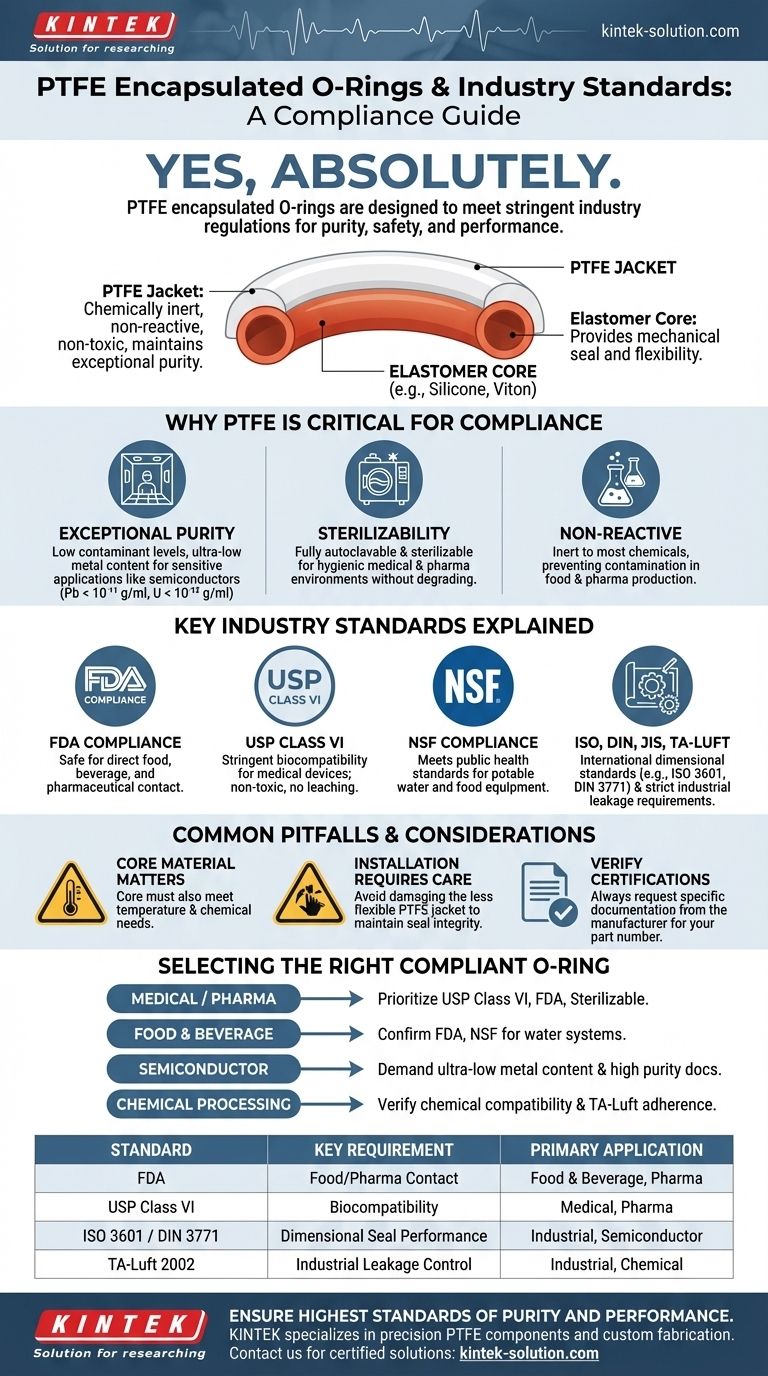 ¿Los anillos O encapsulados en PTFE cumplen con los estándares de la industria? Asegure la pureza y el rendimiento en aplicaciones críticas Guía Visual