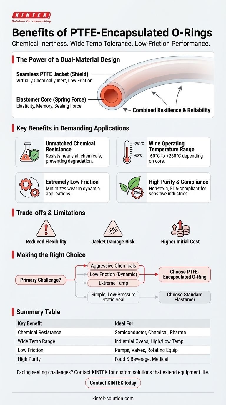全氟烷氧基（PTFE）包封O型圈的优点是什么？在苛刻的化学和高温环境中实现卓越的密封性能 图解指南