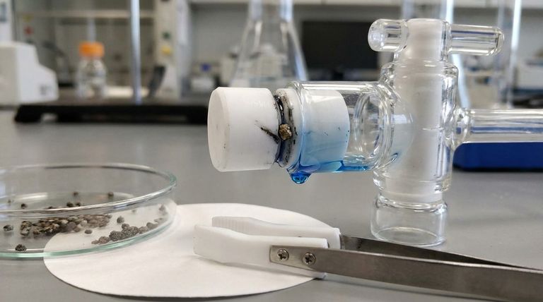 Cosa può succedere se i tappi in PTFE vengono ruotati con particelle solide incastrate tra il tappo e il corpo del rubinetto?