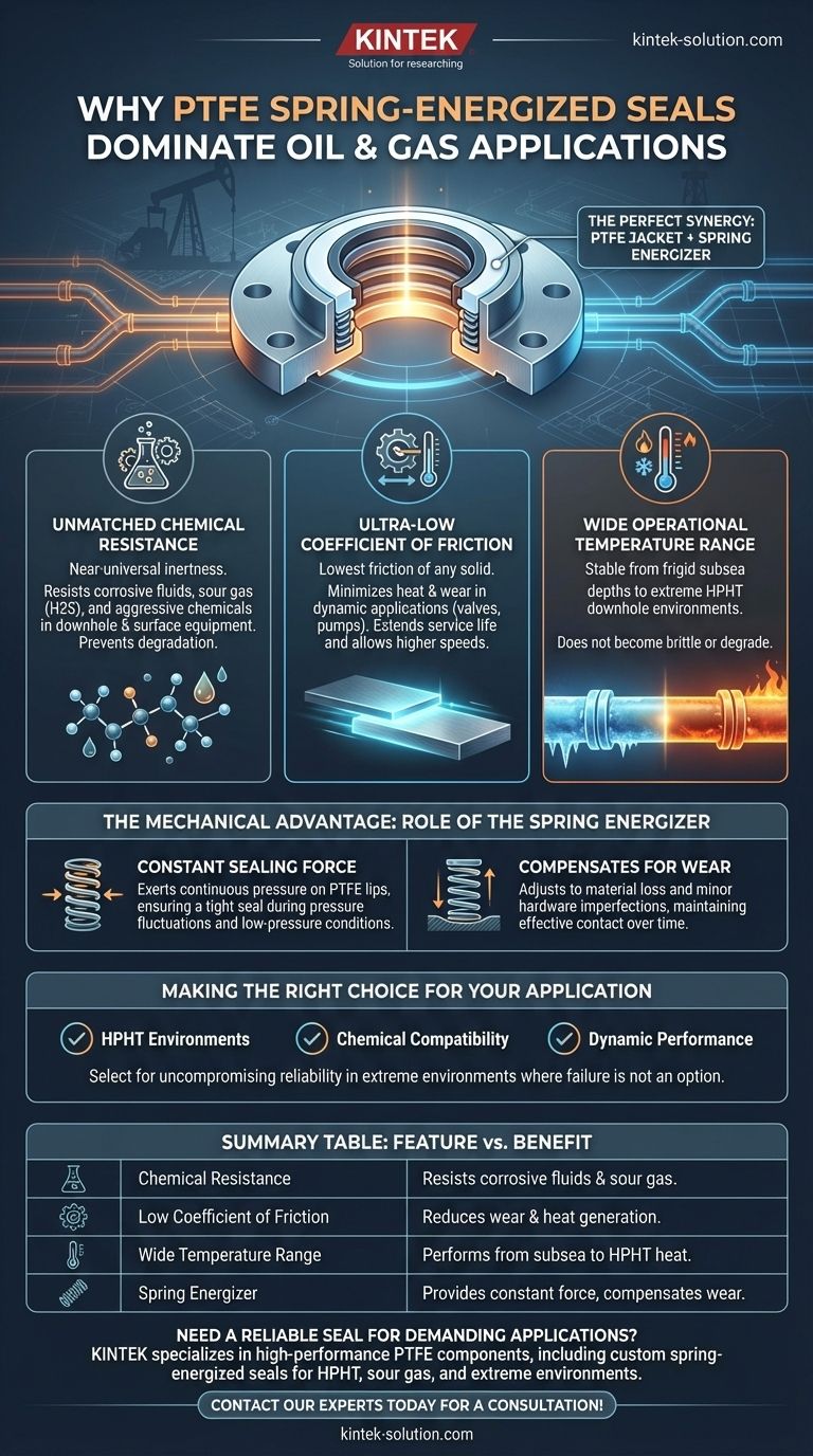 PTFE 스프링 가압 씰이 석유 및 가스 응용 분야에 적합한 이유는 무엇입니까? 극한 조건에서 타의 추종을 불허하는 신뢰성 시각적 가이드
