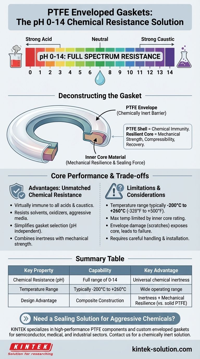 Какой диапазон pH могут выдерживать прокладки с оболочкой из ПТФЭ? Обеспечьте универсальную химическую стойкость Визуальное руководство