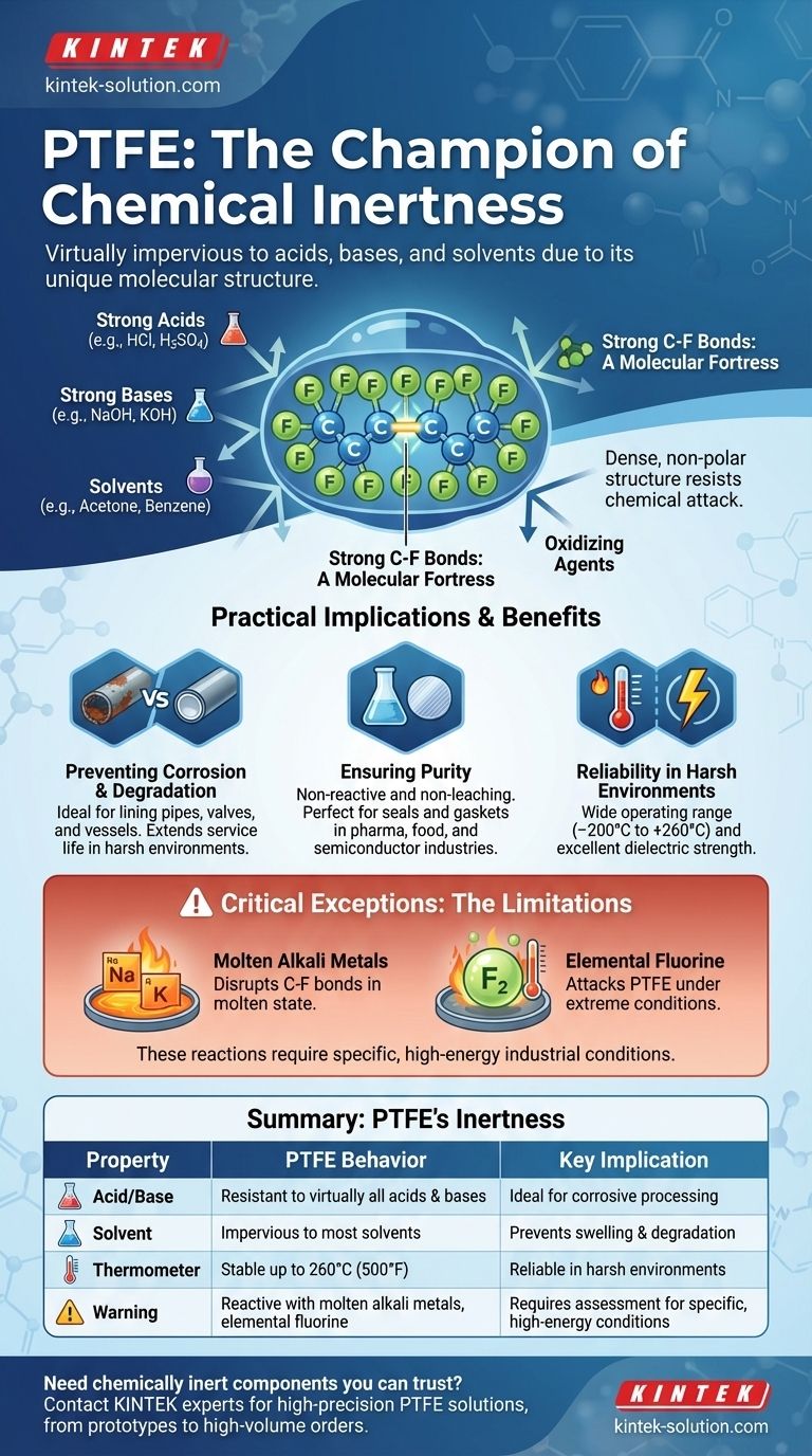 Как ведет себя ПТФЭ с точки зрения химической инертности? Непревзойденная стойкость для ответственных применений Визуальное руководство