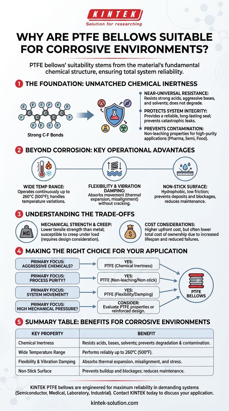 Почему сильфоны из ПТФЭ подходят для агрессивных сред? Обеспечьте надежность системы с помощью инертного уплотнения Визуальное руководство