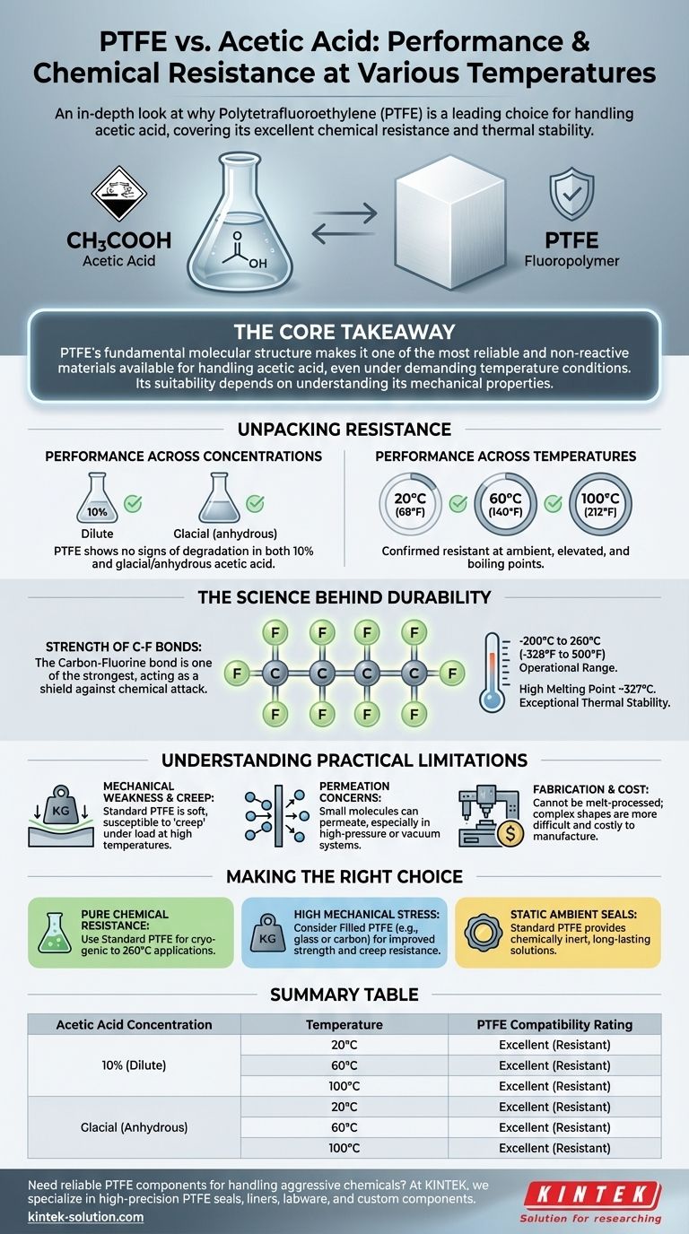 PTFE는 다양한 온도에서 아세트산에 대해 어떻게 성능을 발휘합니까? 타의 추종을 불허하는 내화학성 시각적 가이드
