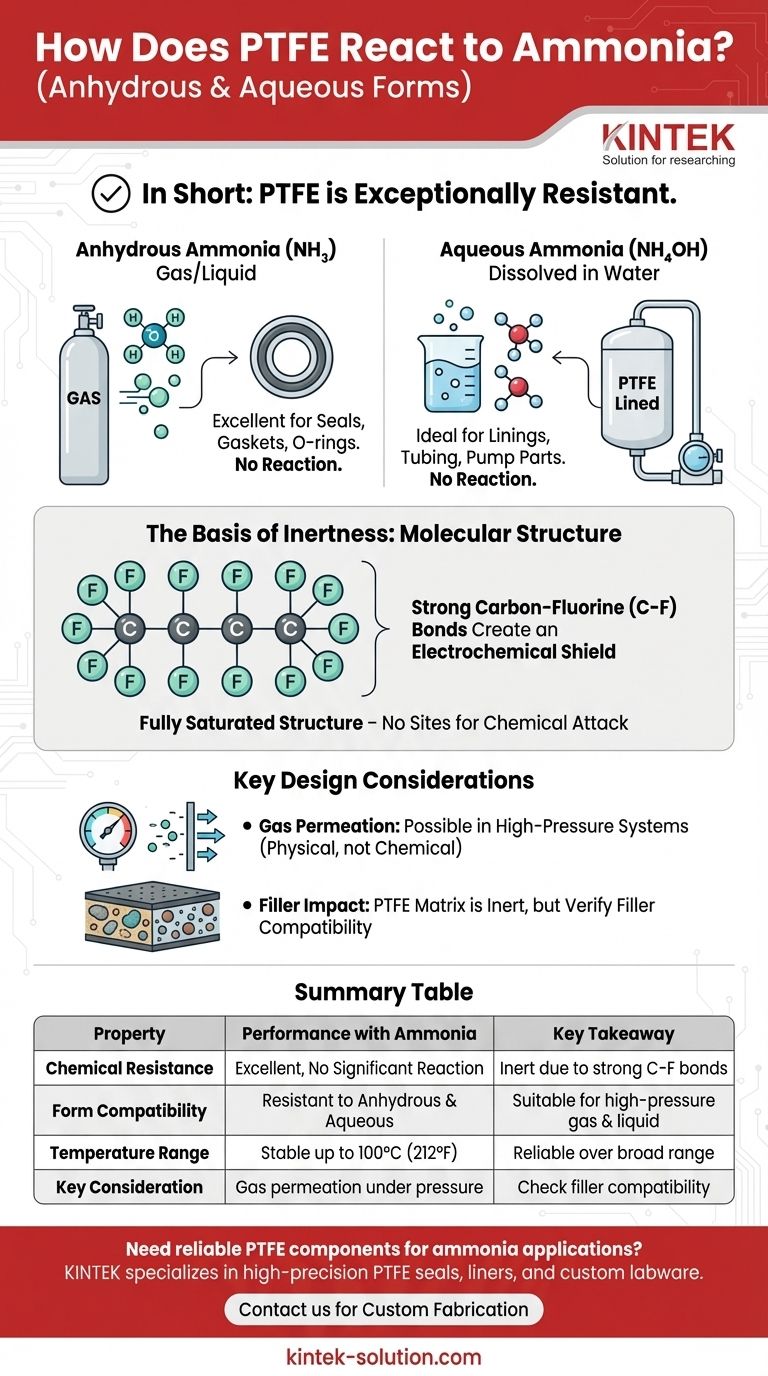 PTFE는 암모니아에 어떻게 반응할까요? 우수한 내화학성을 확인해 보세요 시각적 가이드