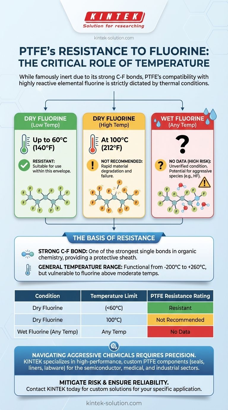 PTFE의 불소에 대한 저항성은 조건에 따라 어떻게 달라집니까? 온도별 데이터를 통해 값비싼 고장을 방지하십시오 시각적 가이드