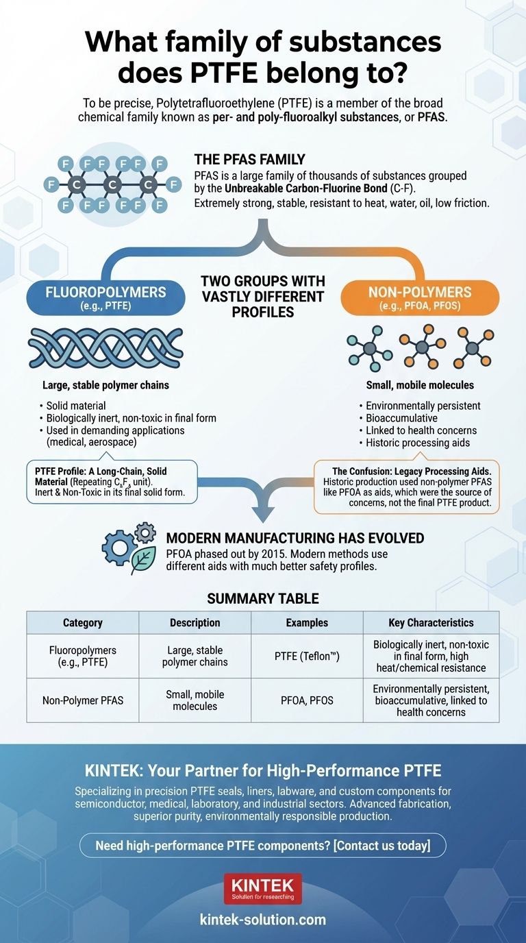 PTFE는 어떤 물질군에 속합니까? PFAS 및 불소수지 안전성에 대한 이해 시각적 가이드