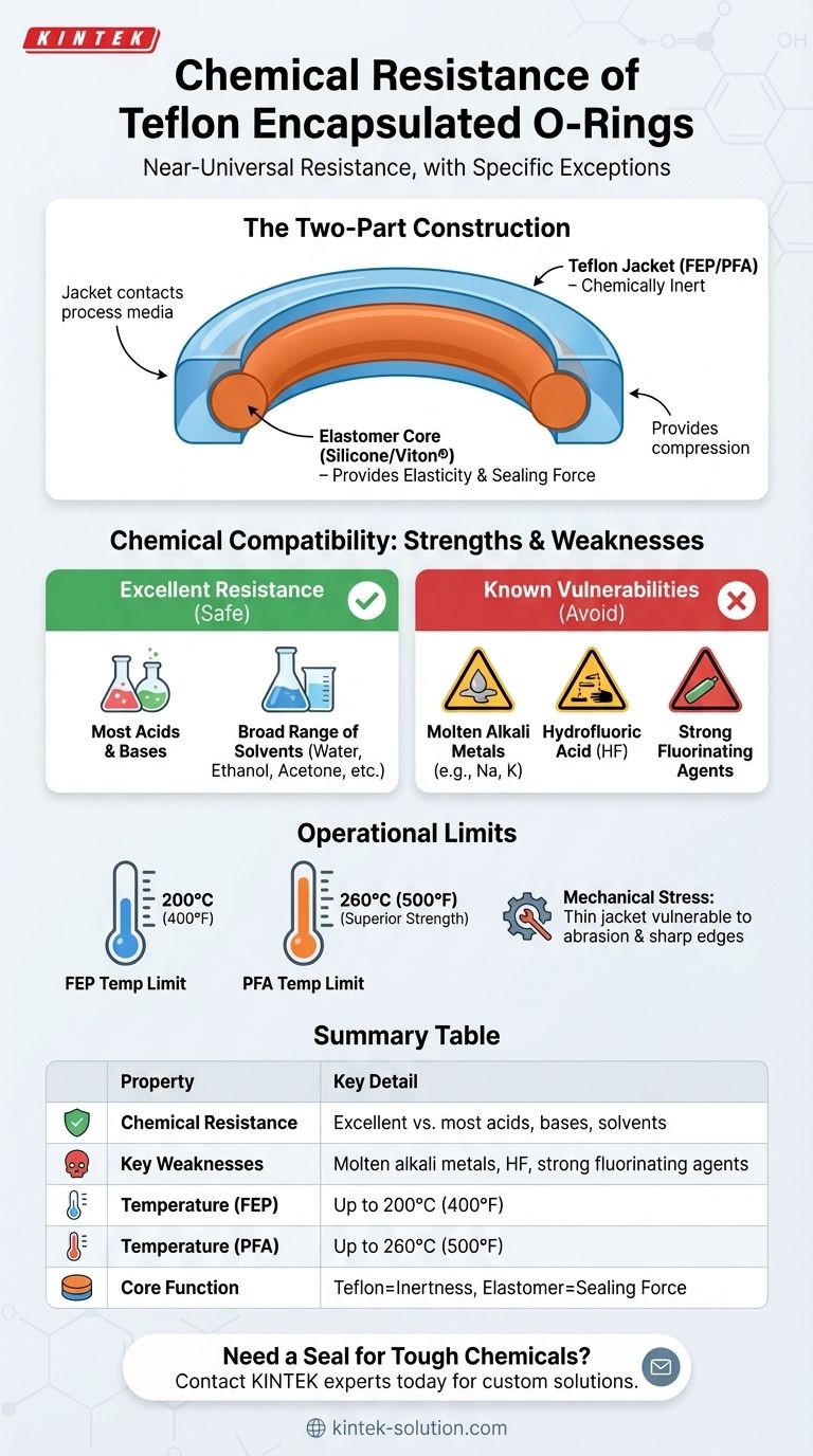 테프론 캡슐화 O-링의 내화학성은 어떻습니까? 불활성 씰링을 위한 궁극의 가이드 시각적 가이드