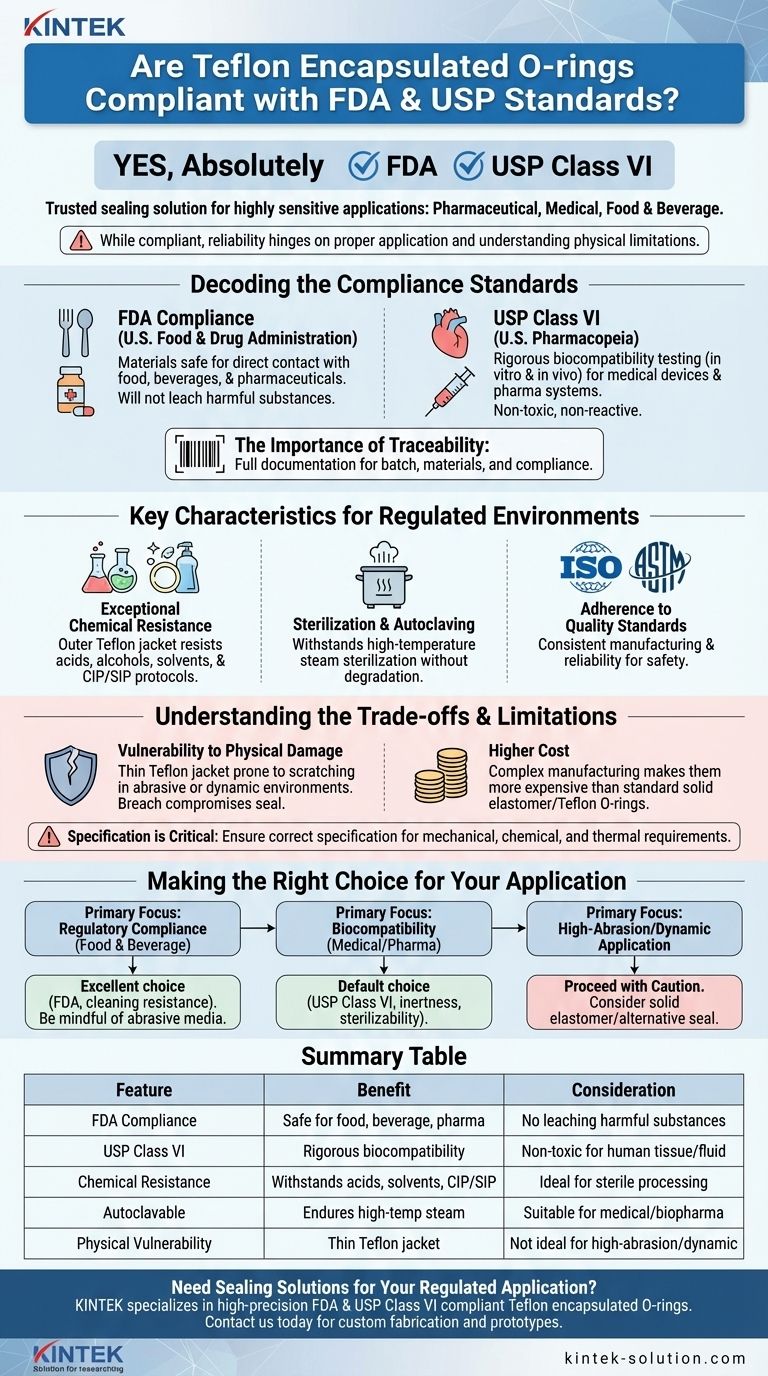 테플론 캡슐화 O-링은 FDA 및 USP 표준을 준수합니까? 규제 산업을 위한 밀봉 무결성 보장 시각적 가이드