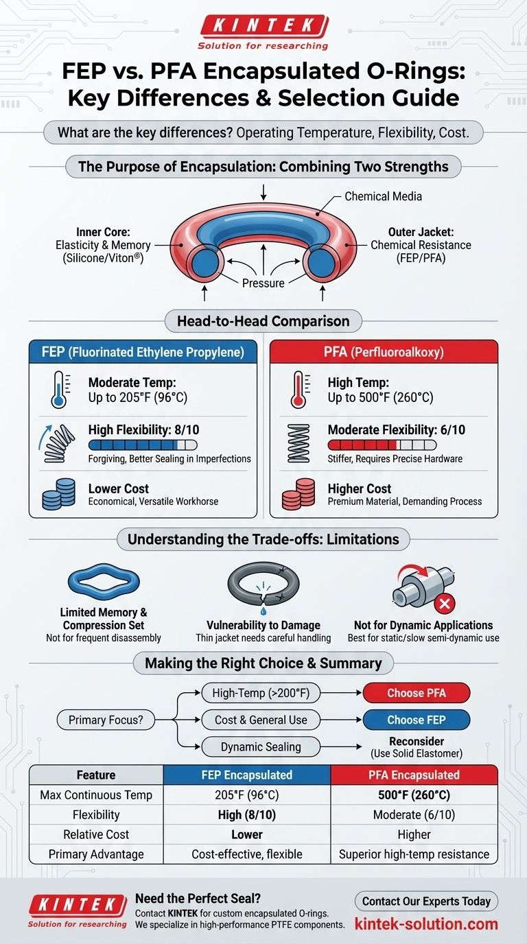 FEP 캡슐형 O-링과 PFA 캡슐형 O-링의 주요 차이점은 무엇인가요? 온도, 유연성 및 비용에 대한 안내 시각적 가이드