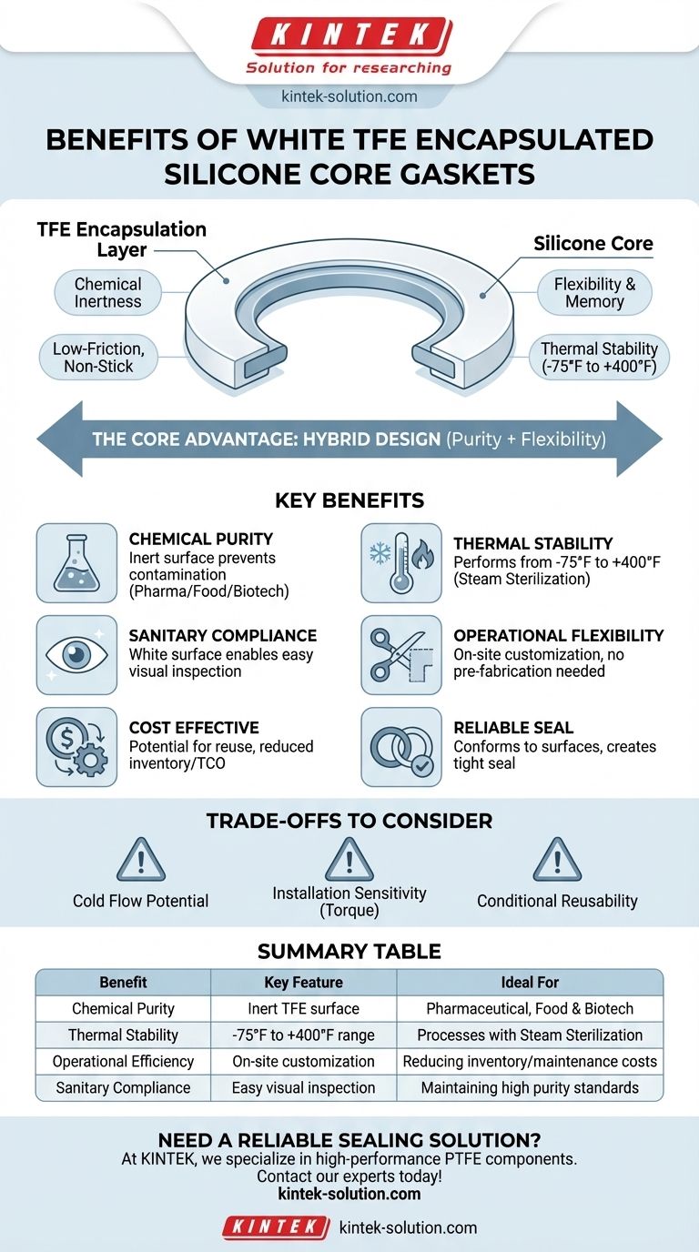 백색 TFE 캡슐화 실리콘 코어 개스킷의 이점은 무엇입니까? 순도 및 성능 최적화 시각적 가이드
