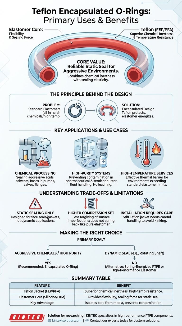 테플론 캡슐화 O-링의 주요 용도는 무엇입니까? 공격적인 화학 물질 및 고온에 대한 밀봉 시각적 가이드