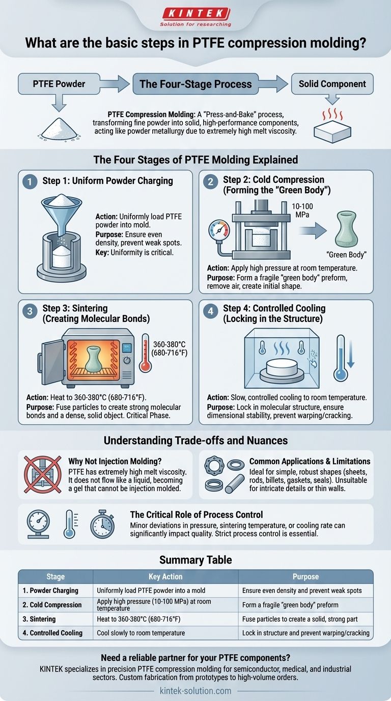 ما هي الخطوات الأساسية في قولبة PTFE بالضغط؟ دليل لعملية الضغط والخبز دليل مرئي