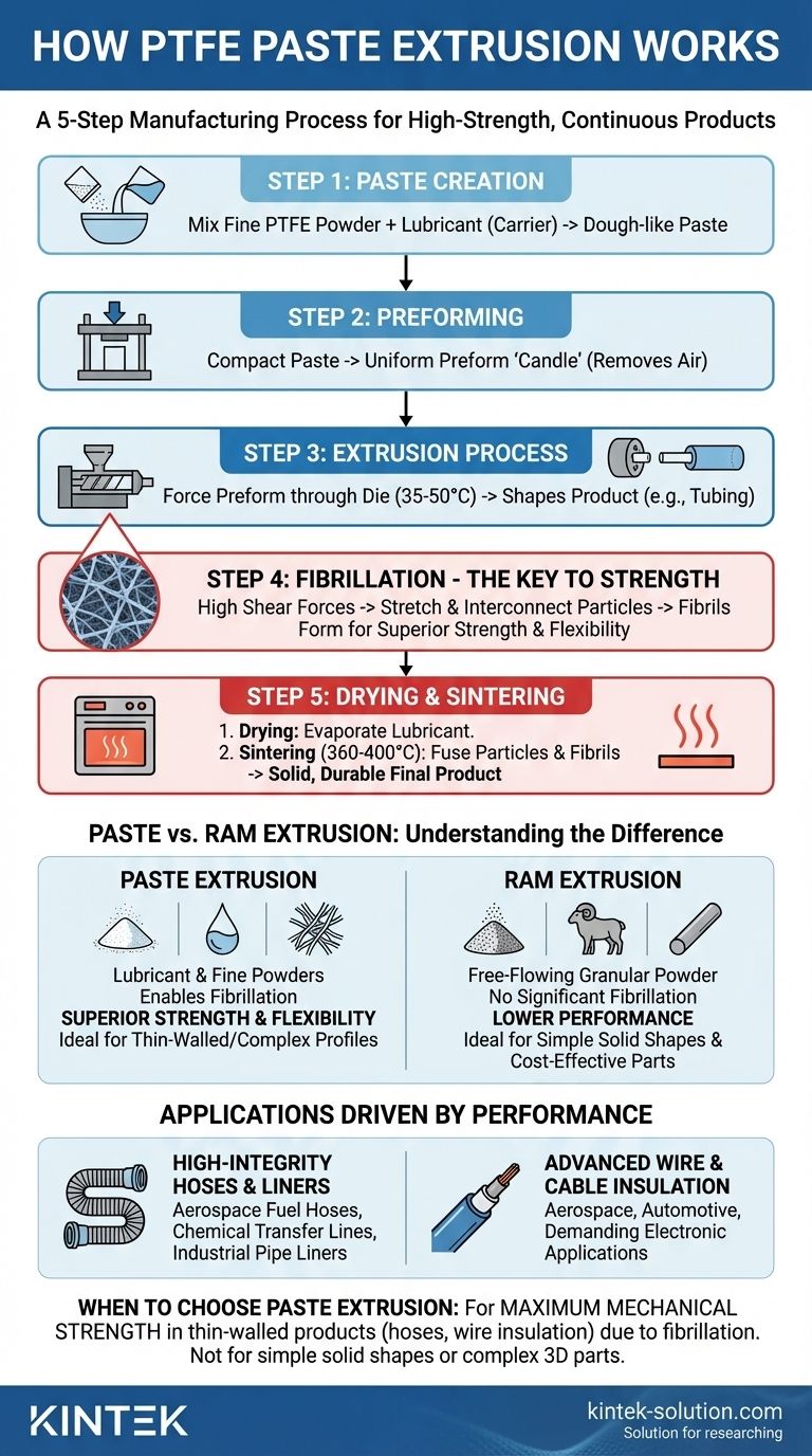 PTFE 페이스트 압출은 어떻게 작동하는가? 고강도 부품 제조 가이드 시각적 가이드