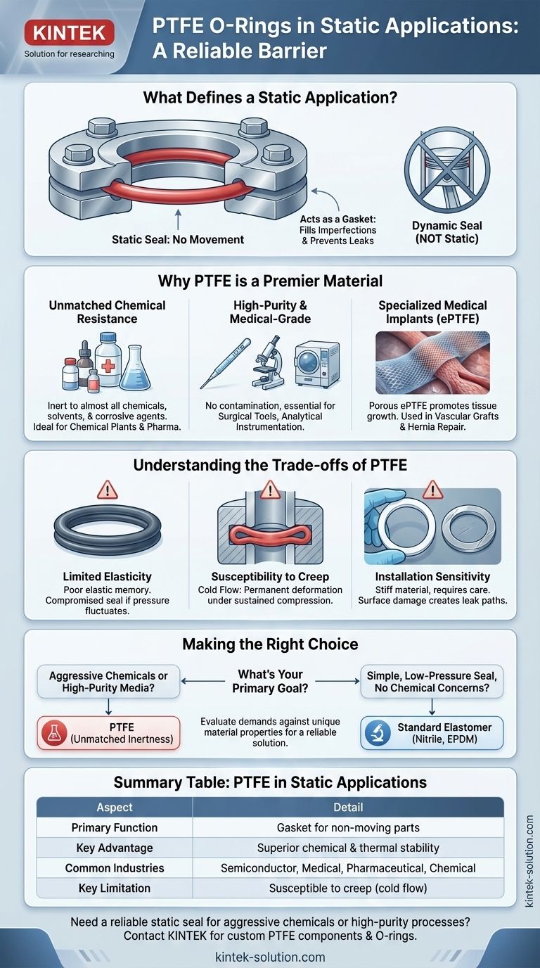 정적 애플리케이션이란 무엇이며 PTFE O-링은 여기에 어떻게 사용됩니까? 까다로운 환경에서 누출 방지 씰 보장 시각적 가이드