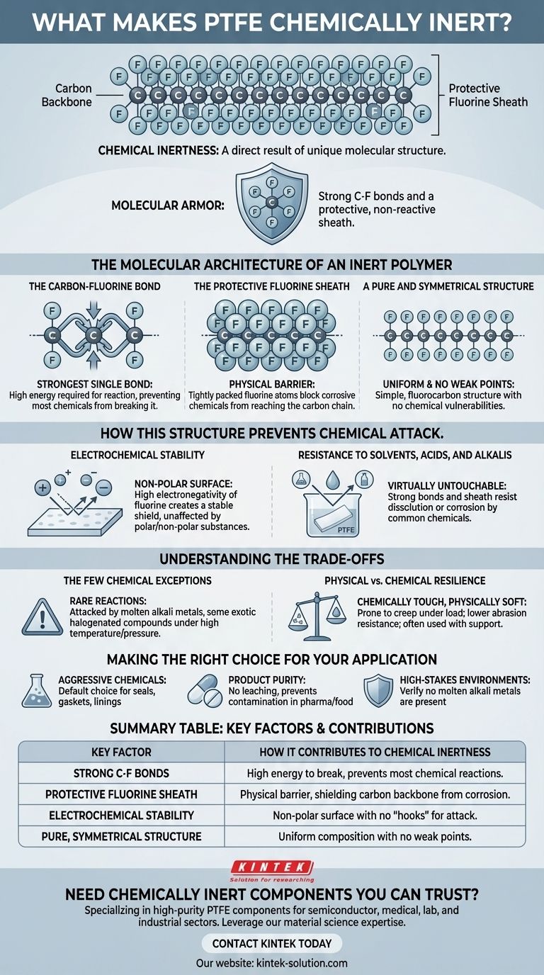 Was macht PTFE chemisch inert? Entdecken Sie die molekularen Geheimnisse seiner unübertroffenen Beständigkeit Visuelle Anleitung